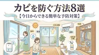 カビを防ぐ方法8選【今日からできる簡単な予防対策】